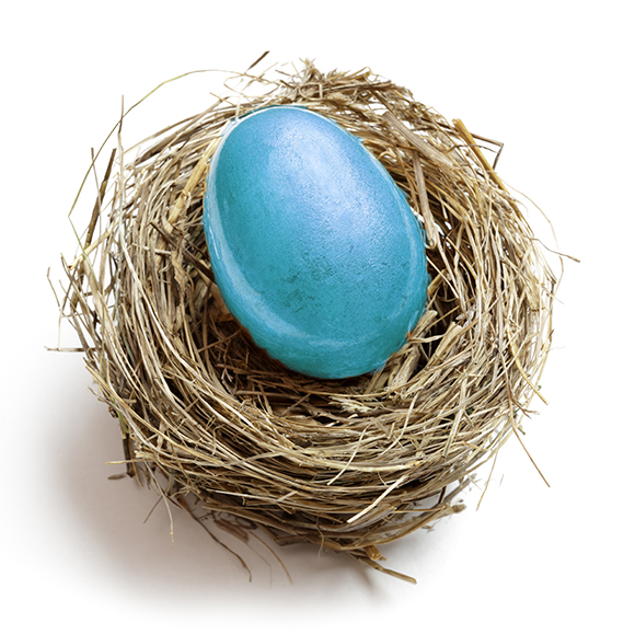 Photo of a blue egg - M&N Insurance